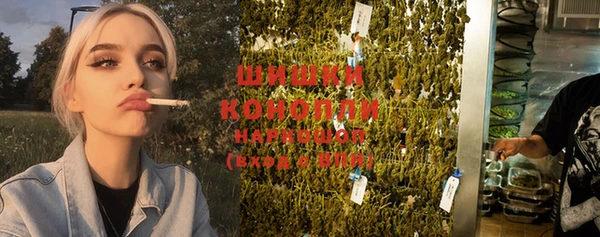каннабис Белокуриха