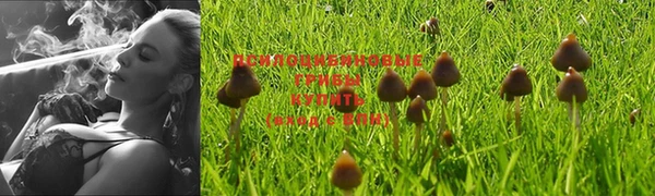 соль курить ск Беломорск